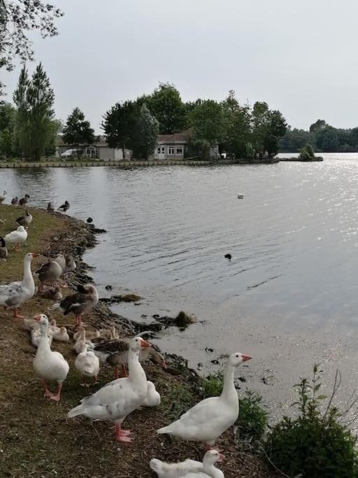 Fadil Apartman Valenciennes Kültér fotó